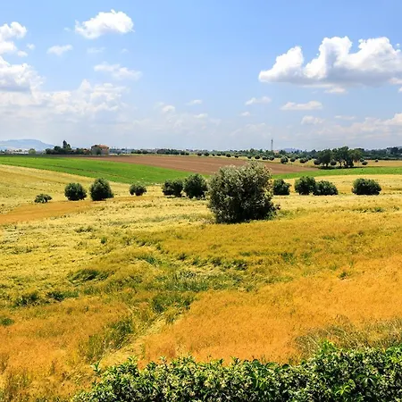 Il Tiglio Bed & Breakfast