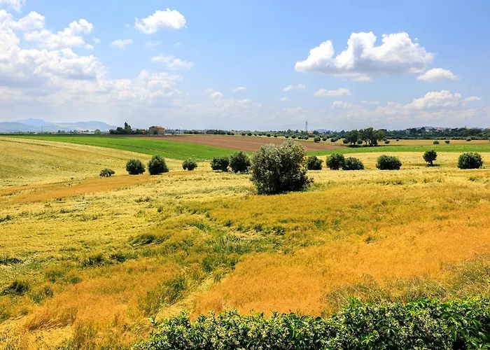 Il Tiglio Bed and breakfast